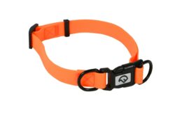 Ein verstellbares und strapazierfähiges Halsband für Ihren treuen Begleiter.