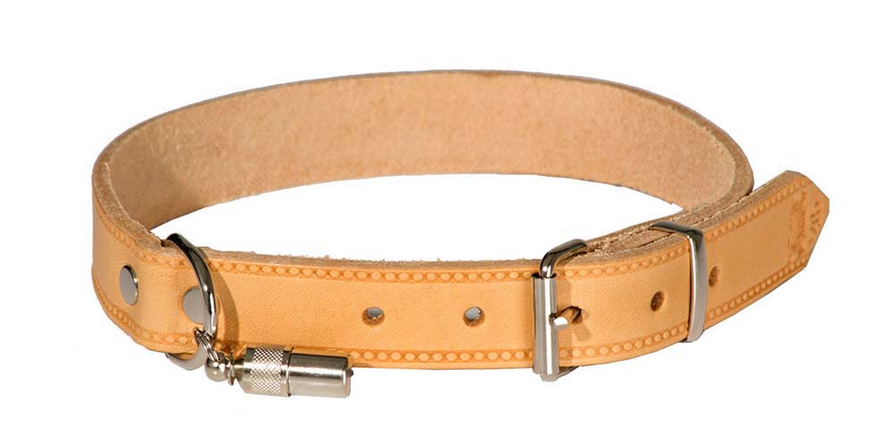 hellbraunes Lederhalsband mit Adressanhänger