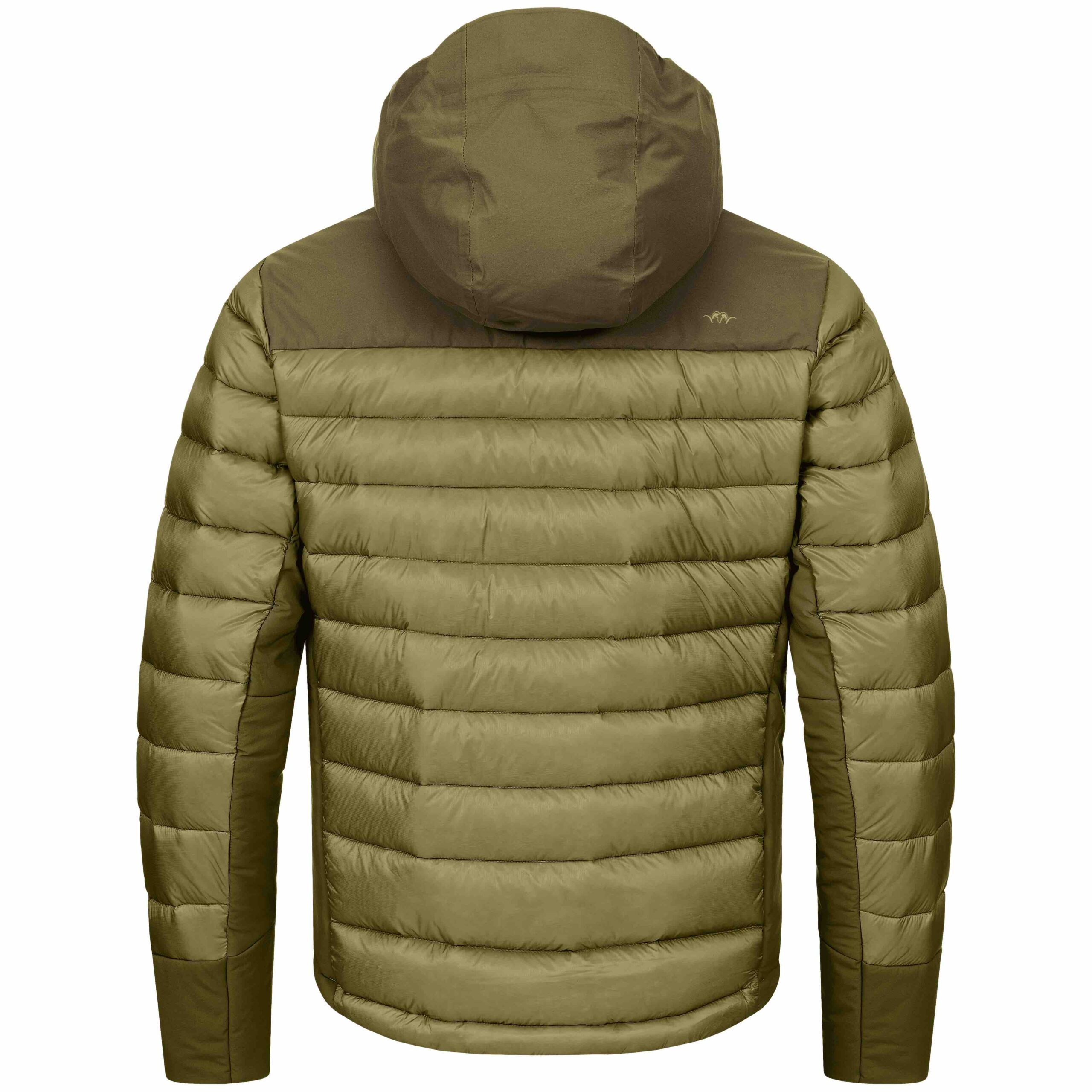 blaser-herren-daunenjacke-observer. Die Blaser Herren Daunenjacke Oberserver in Grün mit dunkel abgesetzter Schulter, Kapuze und Ärmelabschlüssen ist wasserabweisend.Sie verfügt über 2 Seitentaschen. Bild auf weißem Hintergrund.